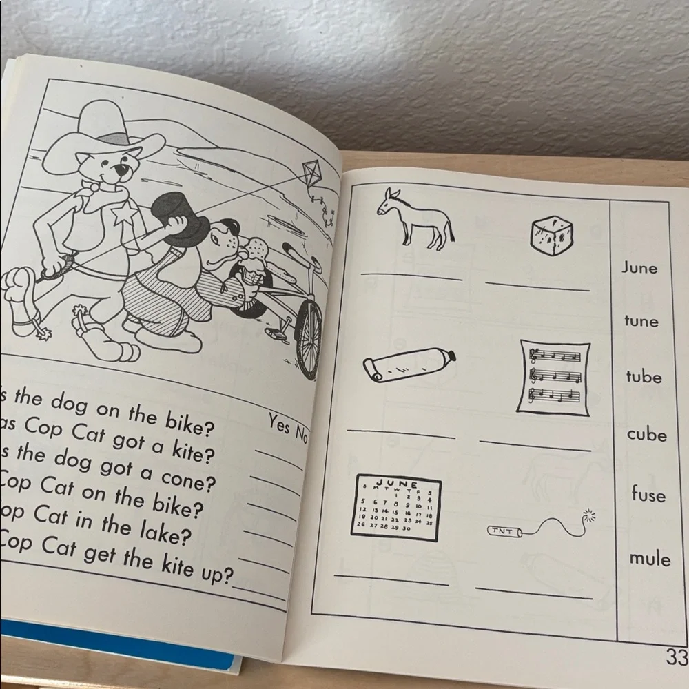 Primary Phonics Workbook 2  + Additional Practice - homeschool